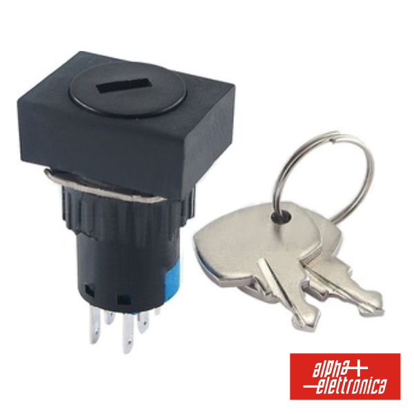 INTERRUPTOR C/ CHAVE DE 2 CIRCUITOS 230V 2NO-2NC RECTANGULAR